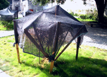 100% New Sunshine Pertanian Hijau Teduh