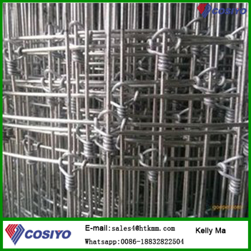 Fixed knot joint hot dipped galvanized horse and sheep wire mesh fence