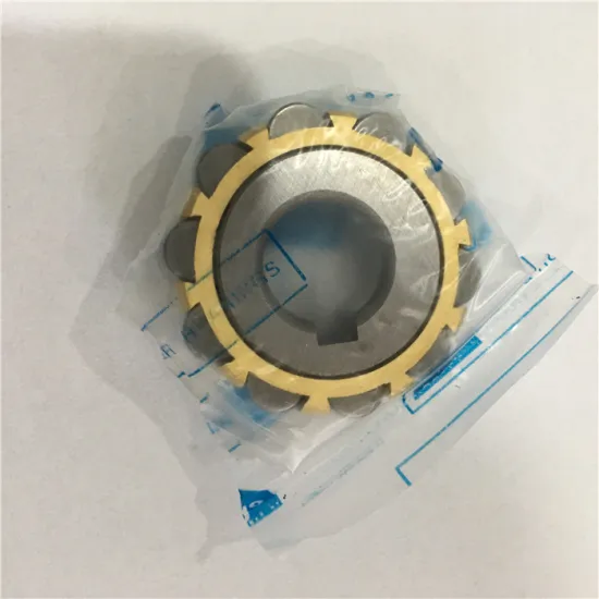 Eccentric bearing cylindrical roller bearing RN205