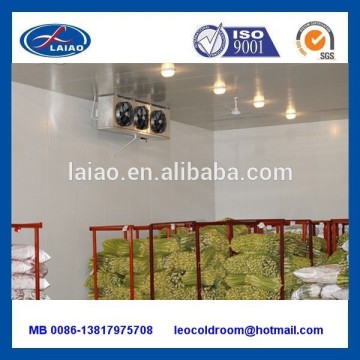 300T cold storage of fruits and vegetables