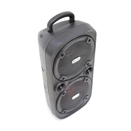 2021 Hot Selling Studio Monitor Speakers with Amazon Echo and Tweeter