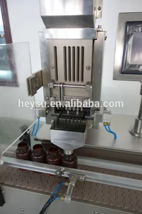 HSCC-A capsule counter machine