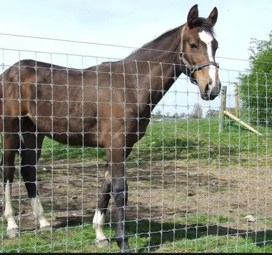 High Tensile Hot Dip Galvanized 10 Gauge Horse Wire Fencing for Cattle Farms