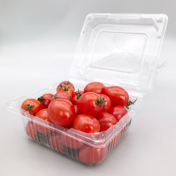 Customized Clear Plastic Clamshell Fruit and Vegetable Containers