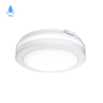 Indoor Outdoor Ceiling Flush Mount LED Light Fixtures: 20W, 30W, and 40W Surface Mount Options
