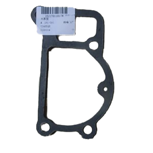 water pump gasket