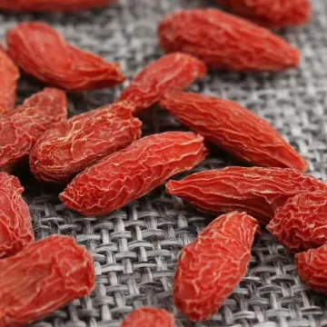 Berry goji organic dried fruit good for health