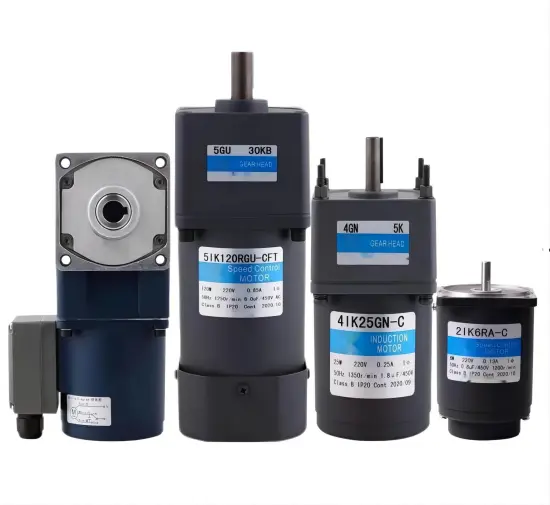 2RK to 6RK AC Induction Reversible Speed Control Micro Gear Motors 25W-220W 220V AC