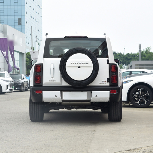 Haval Menglong Raptors 2024 HI4 102 Pro