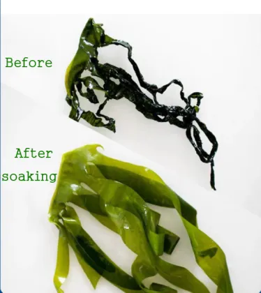 Salted Sea Food Seaweed Wakame leaves