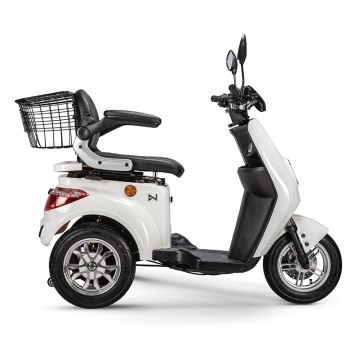 CEET certificato 980W 48 V 25 km/h Triciclo elettrico illuminato a LED con batteria da 24 Ah per il mercato europeo