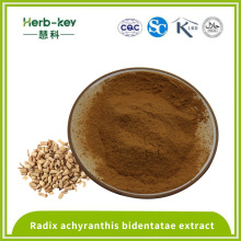 10:1 Radix achyranthes bidentata extract saponins powder