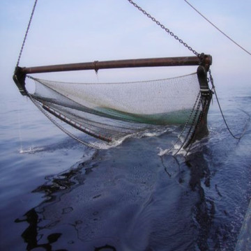 Dyneema Shrimp Trawl Net,China Dyneema Shrimp Trawl Net