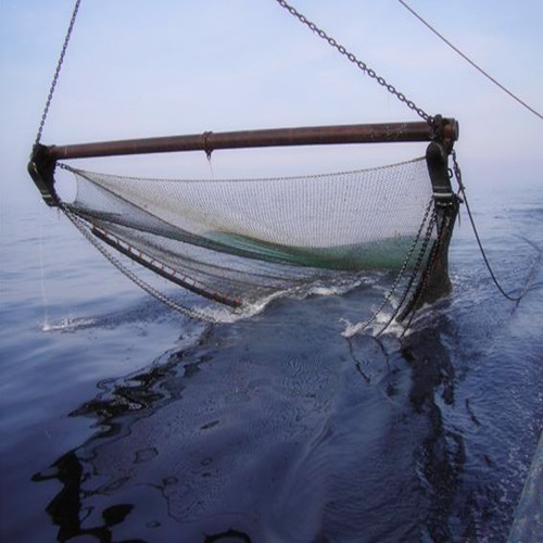 Beam trawls - Fishing gear type