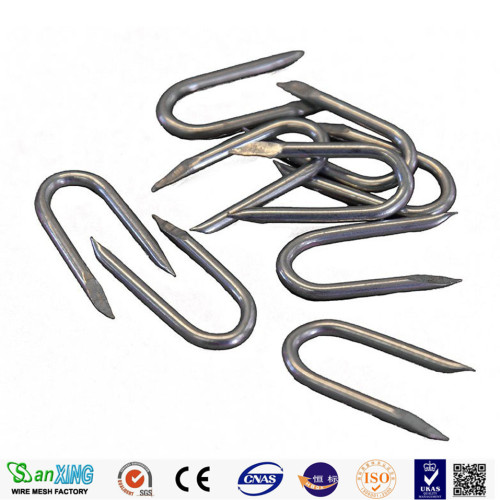 Common Nails Galvanized Fence Staple Hot Dipped Factory