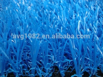Blue grass for decoration