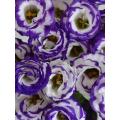 বিবাহের জন্য পাইকারি বেগুনি-ধারযুক্ত Lisianthus