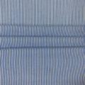 T/R/N Blue White Chambray Stripe Crepe Fabric