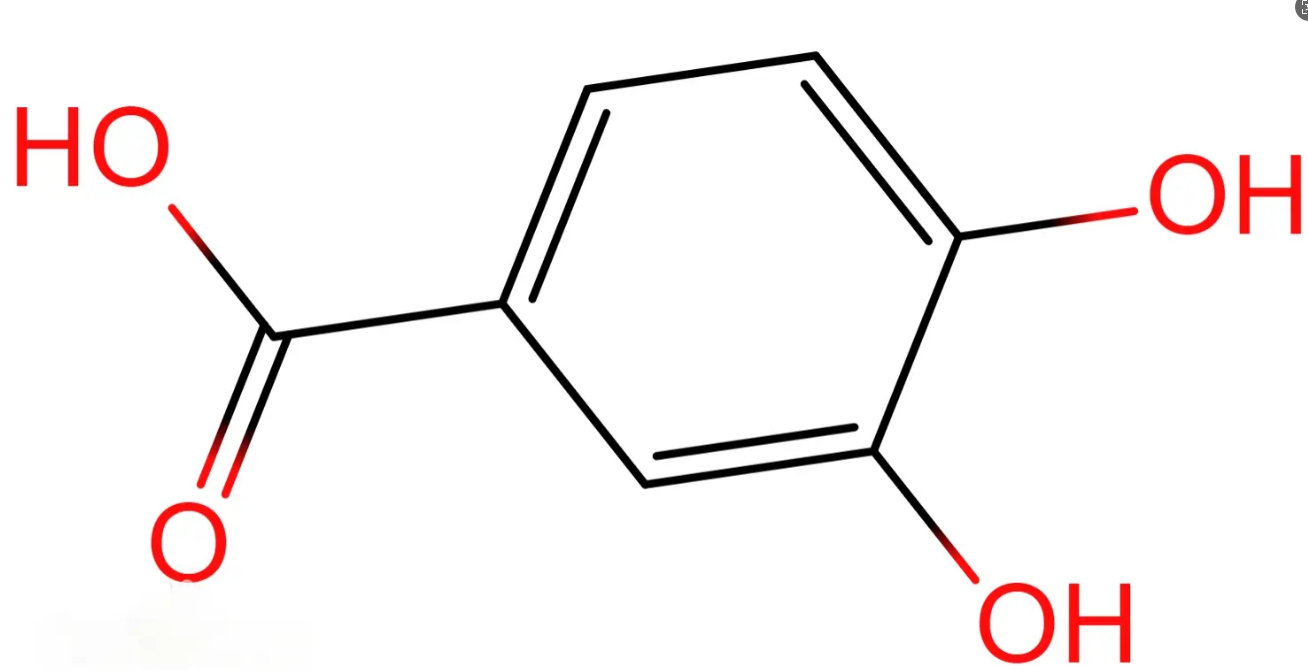 PCA