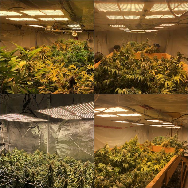 ledgrowlightboard15