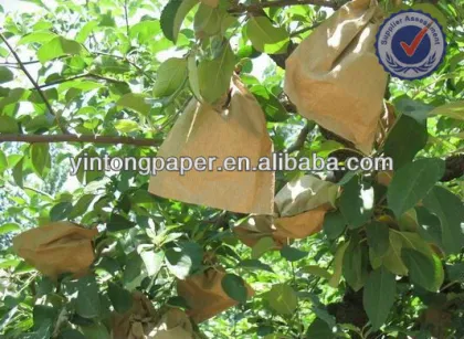 Water Proof Loquat Protection Paper bag
