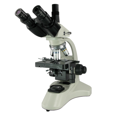 40X to 1600X Zoom Trinocular Biological Microscope: Your Comprehensive Guide and Search Engine