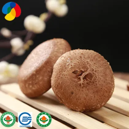 Cookable Organic Fresh Shiitake Mushrooms