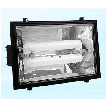 magnetic induction grow light ground mounted flood light