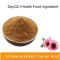 Echinacea purpurea Extract 4％Echinaceaポリフェノール