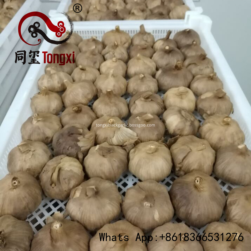 multi black garlic