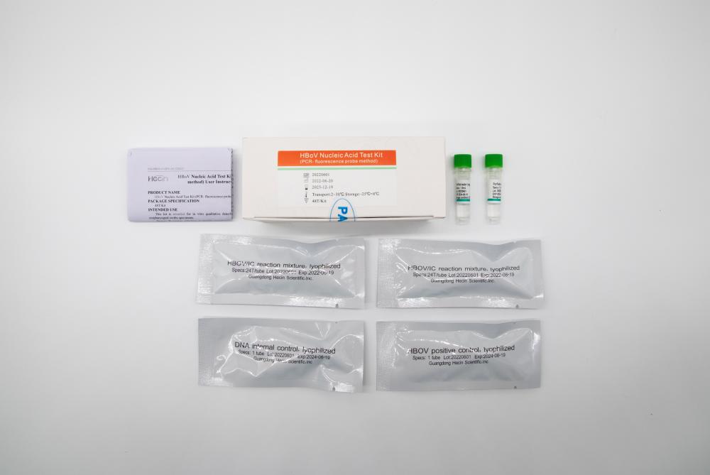 مجموعة اختبار حمض HBOV (طريقة مسبار PCR- مضان)