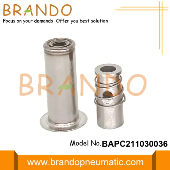 RO SV Solenoid Valve Repair Kit Armature Plunger