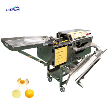 Automatic Egg Breaker and Eggshell Crushing Machine - 2700~16200 Eggs/H Capacity