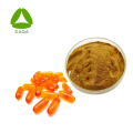 Cordyceps Militaris Extract Cordycepin 1% 98% em pó