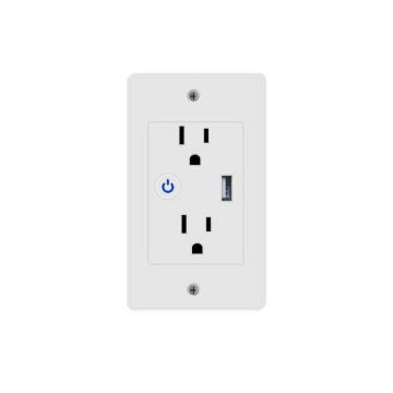 BSD49 Zigbee Tuya Smart Wall Socket 10A/16A - US 2 AC USB with Neutral Wire and Energy Monitor