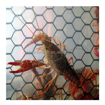 Hot Dipped Galvanized Lobster 3/4 Inch Fish Trap Hexagonal Wire Mesh