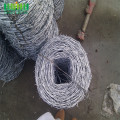 Eco-Friendly Iron Barbed Wire Mesh Fence For Security