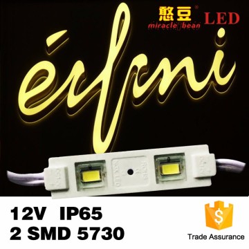 Factory Price 0.6W IP65 CE RoHS Certification DC12V SMD5730 LED Waterproof Backlight