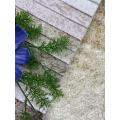 Tissu d'ameublement en velours texturé vintage pour canapé