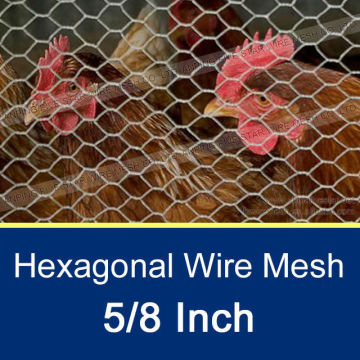 5/8 Inch Chicken Wire Fabric Chicken Wire Mesh
