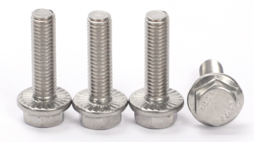 Stainless Steel 304 M6 M8 M10 M12 Hexagon Flange Bbolts