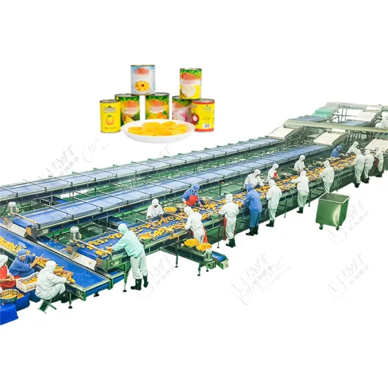 Leadworld Automatic Canned Lamp Meat and Corned Beef Production Line