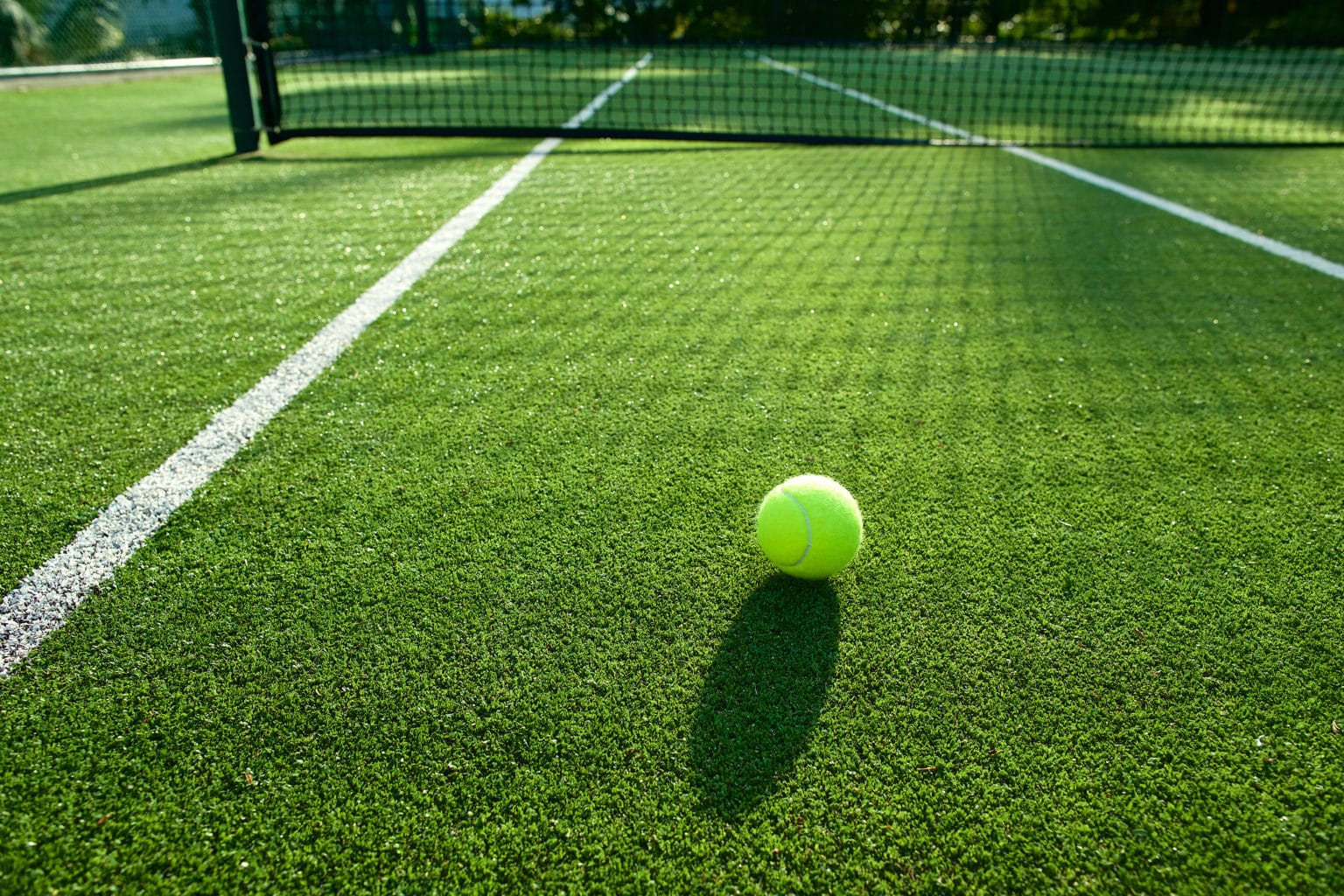 Safety Certification for Artificial Turf