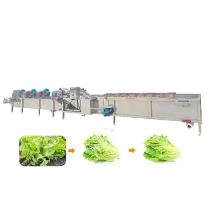 Joyshine OEM ODM Vegetable Washing Machine Air Drying Cleaning Line