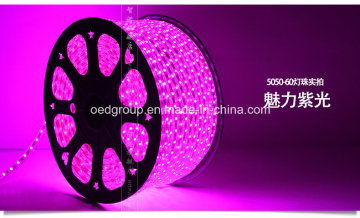 Purple LED Rope Light