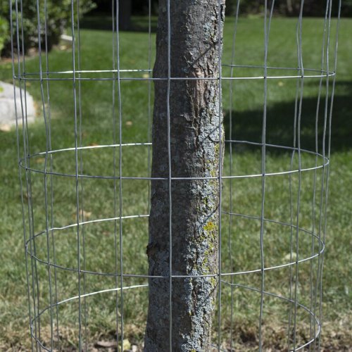 Χονδρική τιμή γαλβανισμένα σύρματα για φράχτη αγροκτήματος