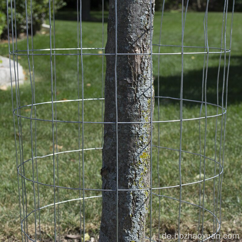 Großhandelspreis verzinkte Drahtnetz für landwirtschaftlichen Zaun