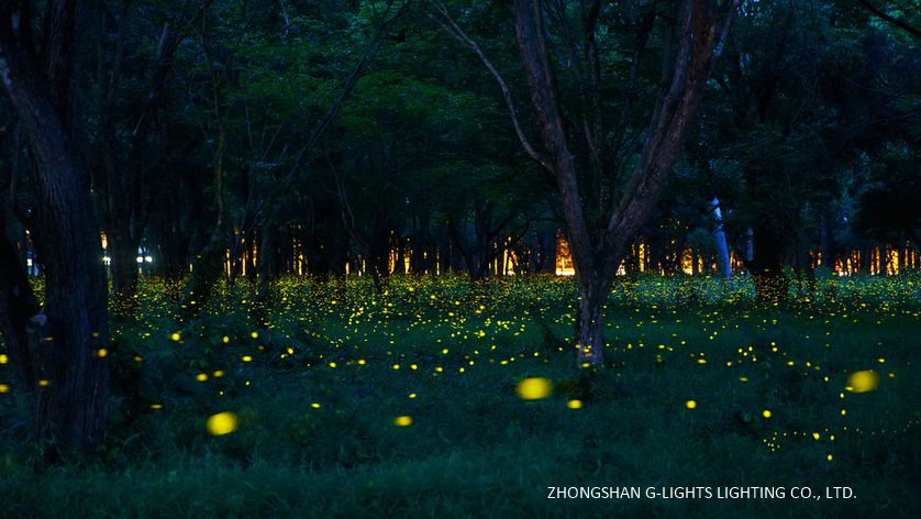 Fireflies Summer Forest Floor