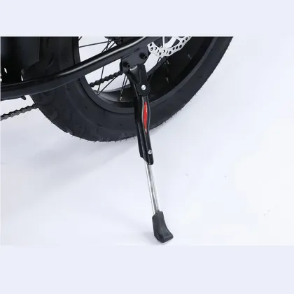 City Cube Bike 29 Inch Cheap Electric Bicycle Price in Bangladesh