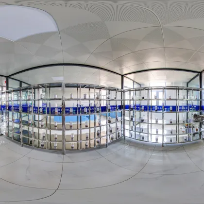 Factory price Chinese ivy extract powder ivy extract